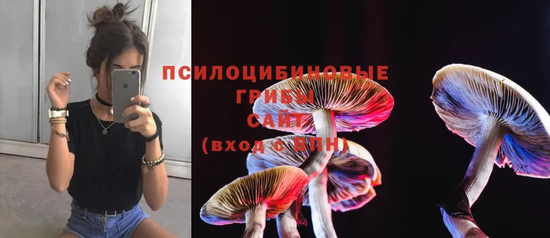 сколько стоит  Калининец  ссылка на мегу сайт  Галлюциногенные грибы Magic Shrooms 